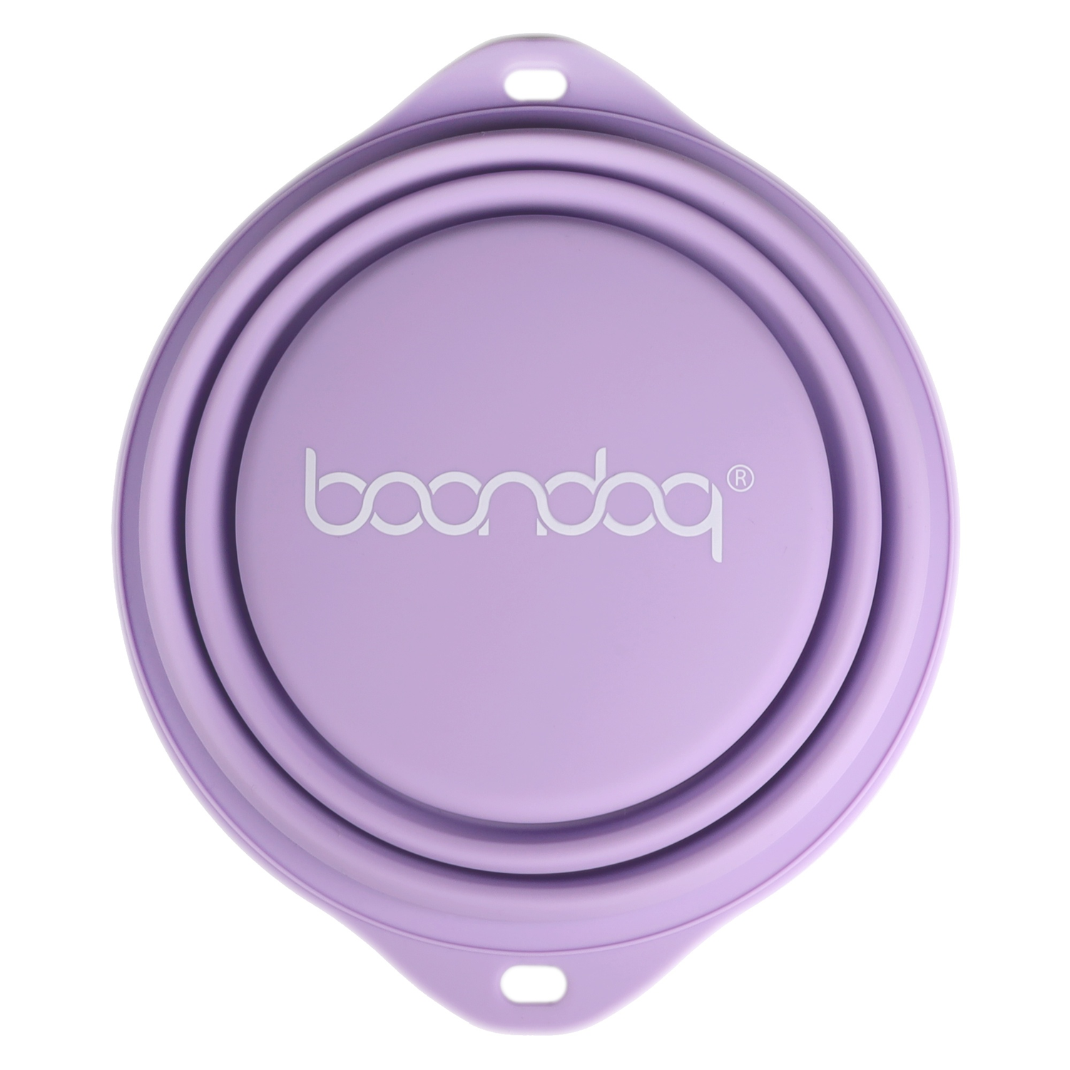 Silicone Water Bowl Purple