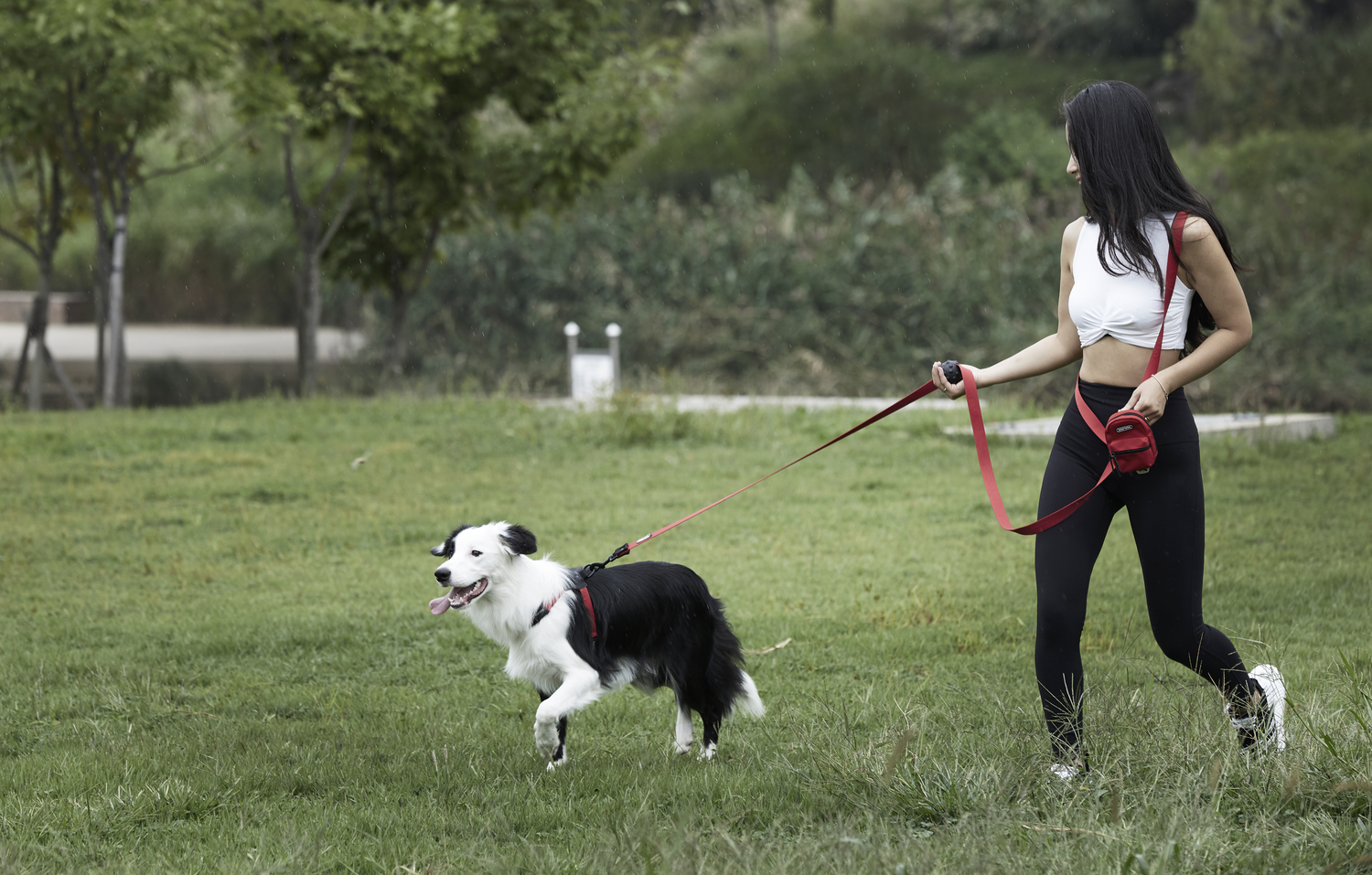 Honden moeten wandelen
